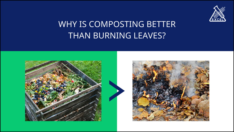 Why is Composting Better than Burning Leaves A Comprehensive Analysis