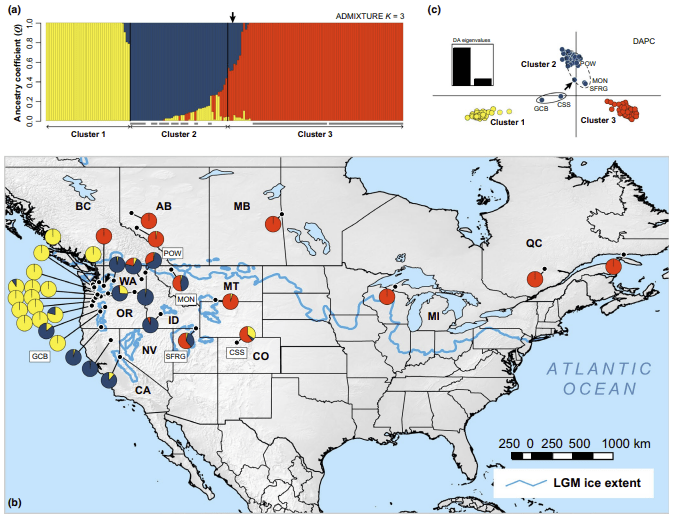 Past Projects Forest Biotechnology Laboratory