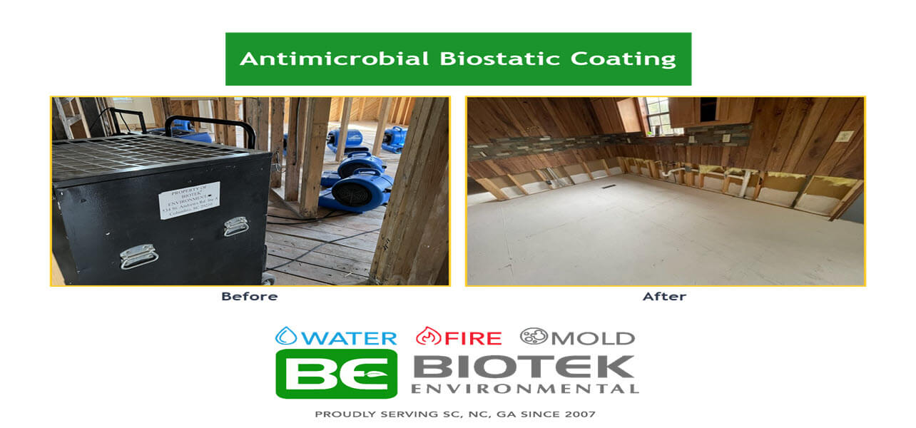 How Antimicrobial Biostatic Coatings Protect Against Mold Growth