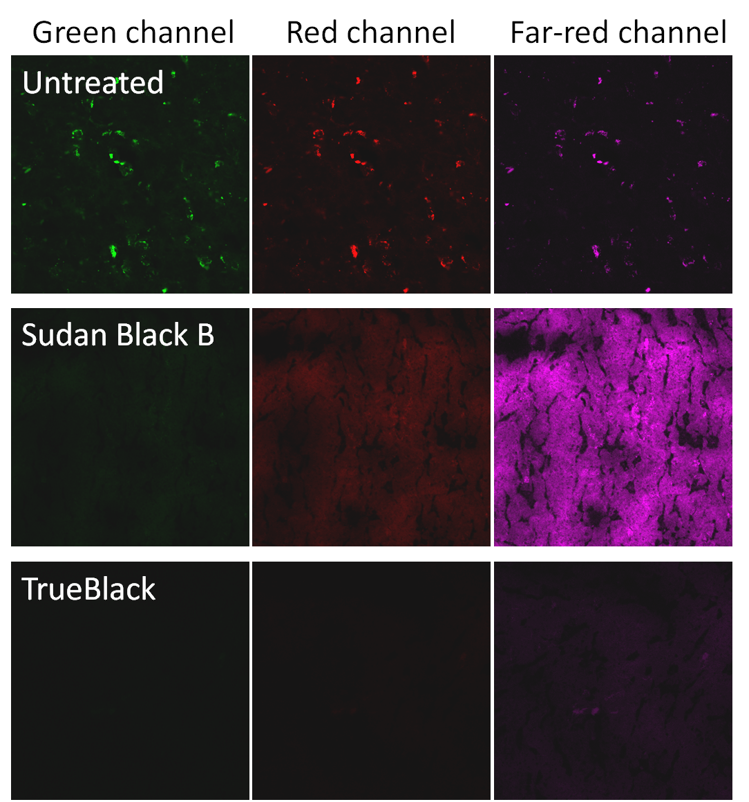 TrueBlack Lipofuscin Autofluorescence Quencher, 20X in DMF Biotium