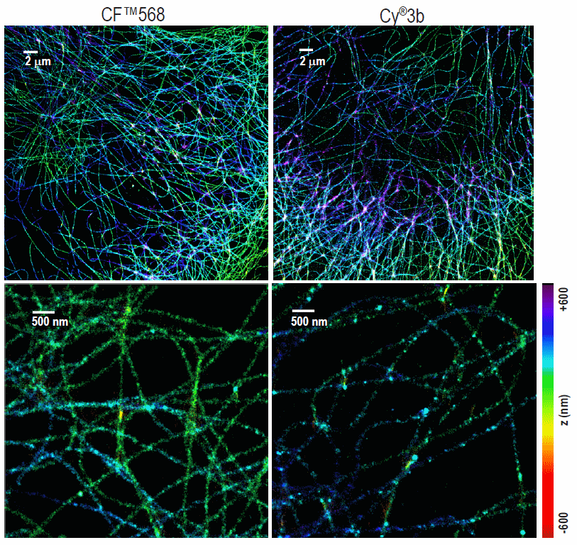CF™ Dyes for MultiColor SuperResolution Microscopy Biotium