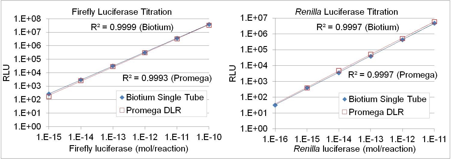 Firefly & Renilla Luciferase Single Tube Assay Kit（BTI300811150ASSAY