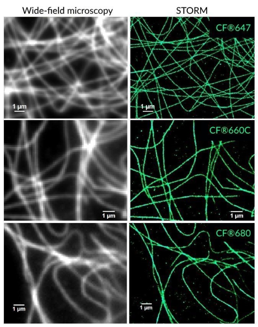 CF® DYES FOR SUPERRESOLUTION MICROSCOPY ATLANTIS BIOSCIENCE