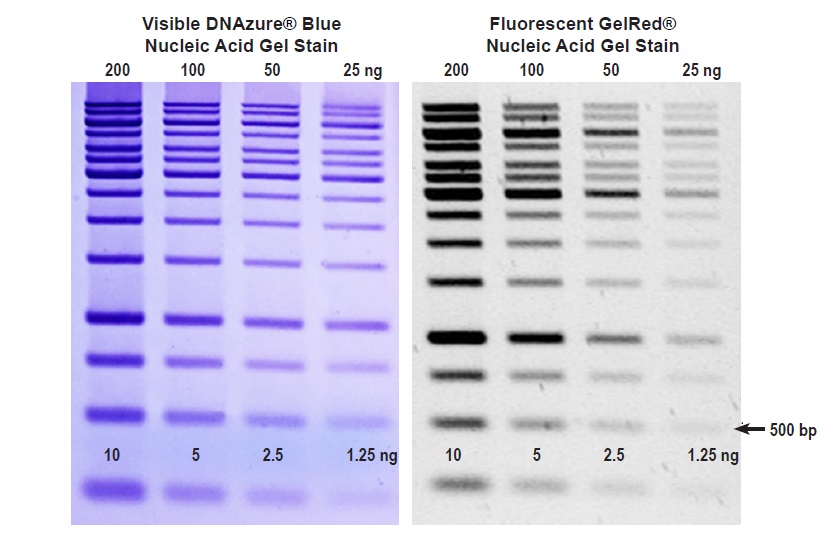 DNAzure® Blue Nucleic Acid Gel Stain, 100X Biotium