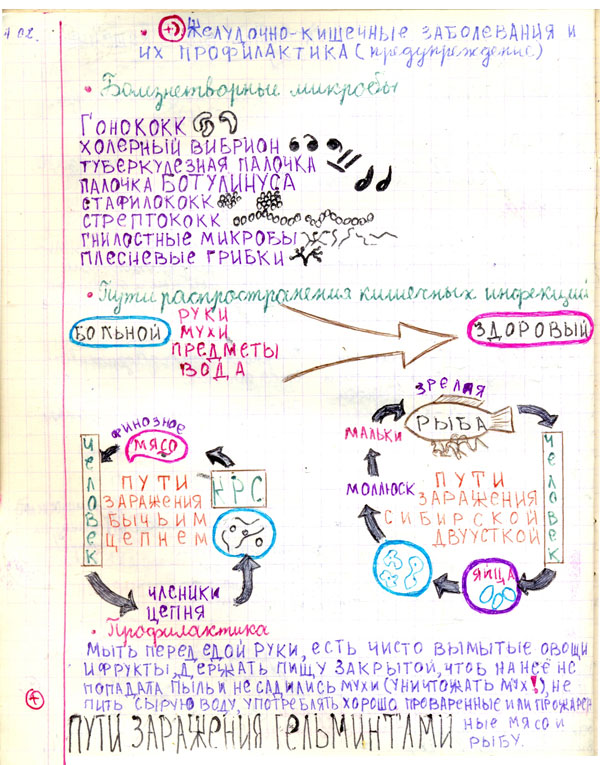 что нарисовать в тетради по биологии