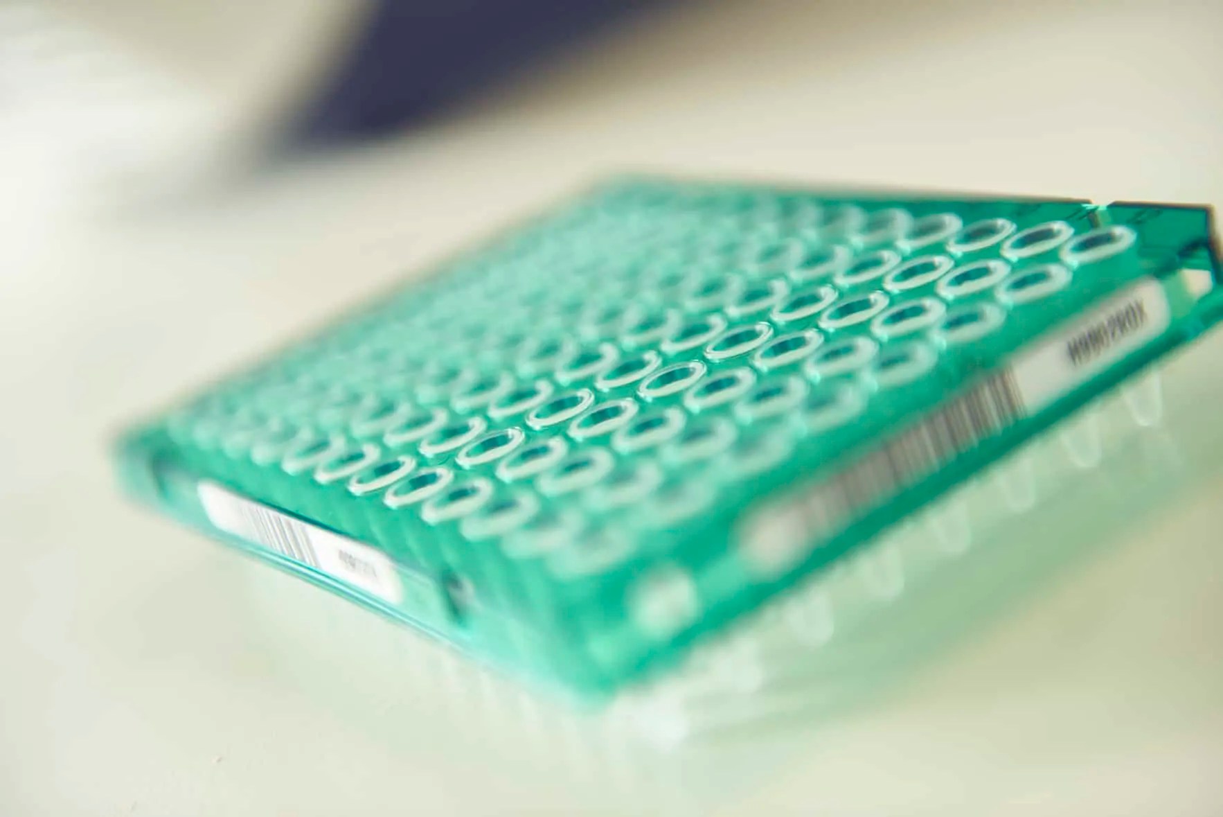 Protein Biomarker Discovery Protein Screening and Quantification!