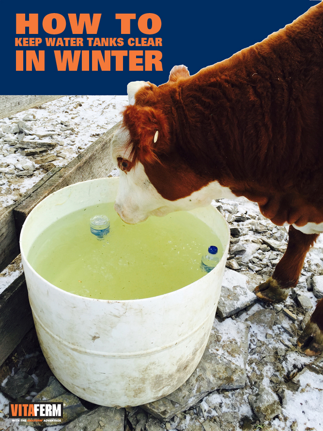 How to Keep Water Tanks Clear in Winter VitaFerm