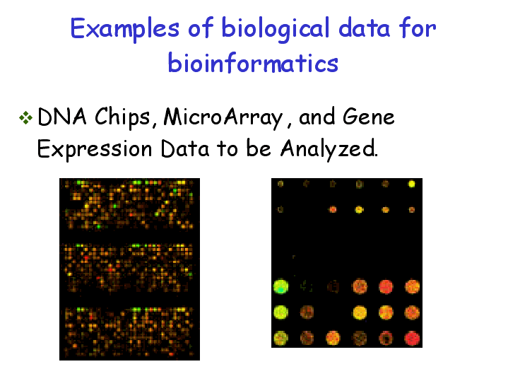 Examples of biological data for bioinformatics