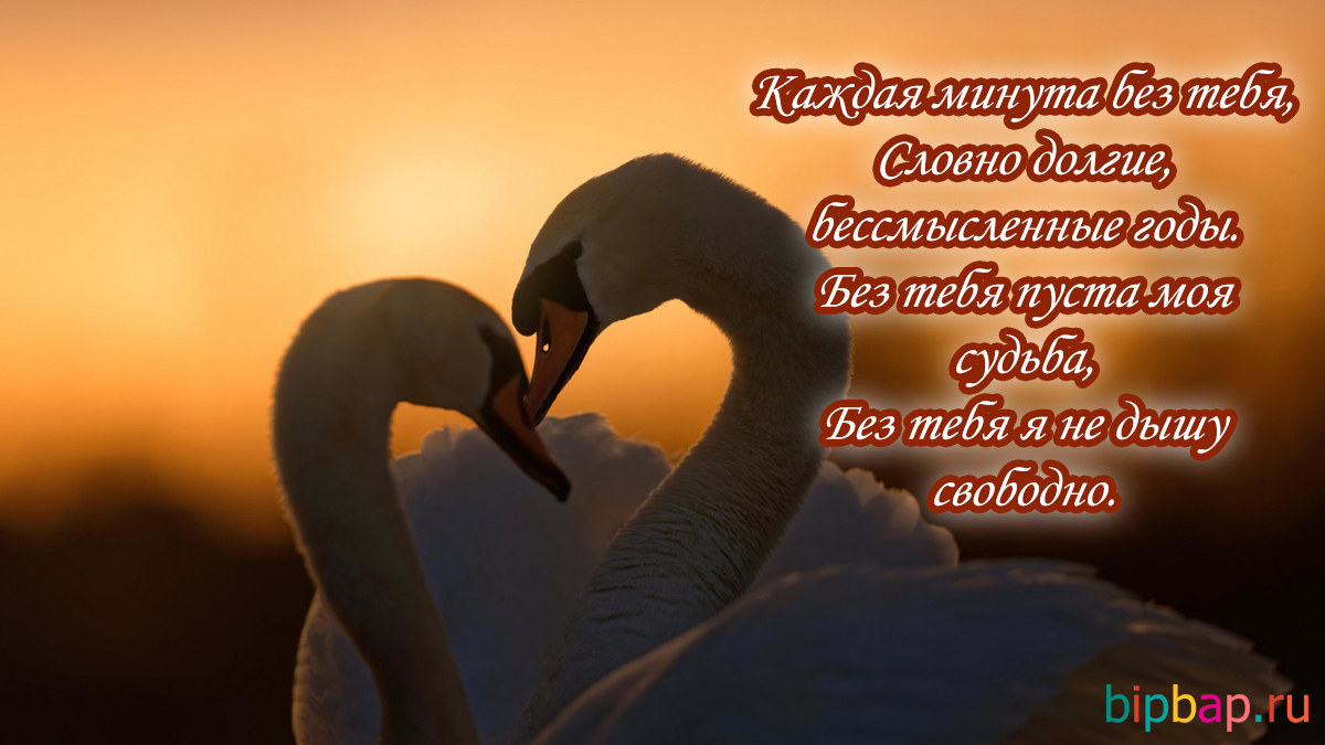Красивые картинки со смыслом про любовь с надписями (40 фото) 🔥