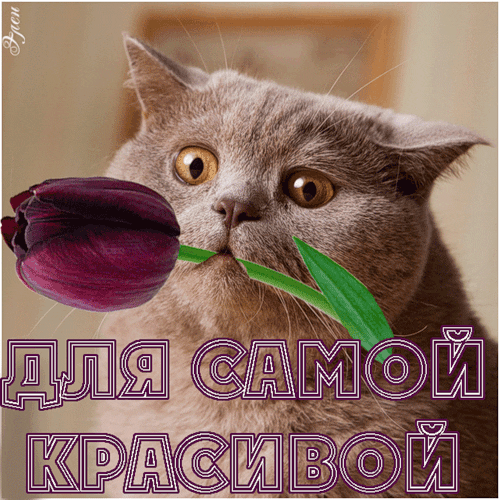 Красивые картинки о любви к девушке (35 фото) • Прикольные картинки и юмор