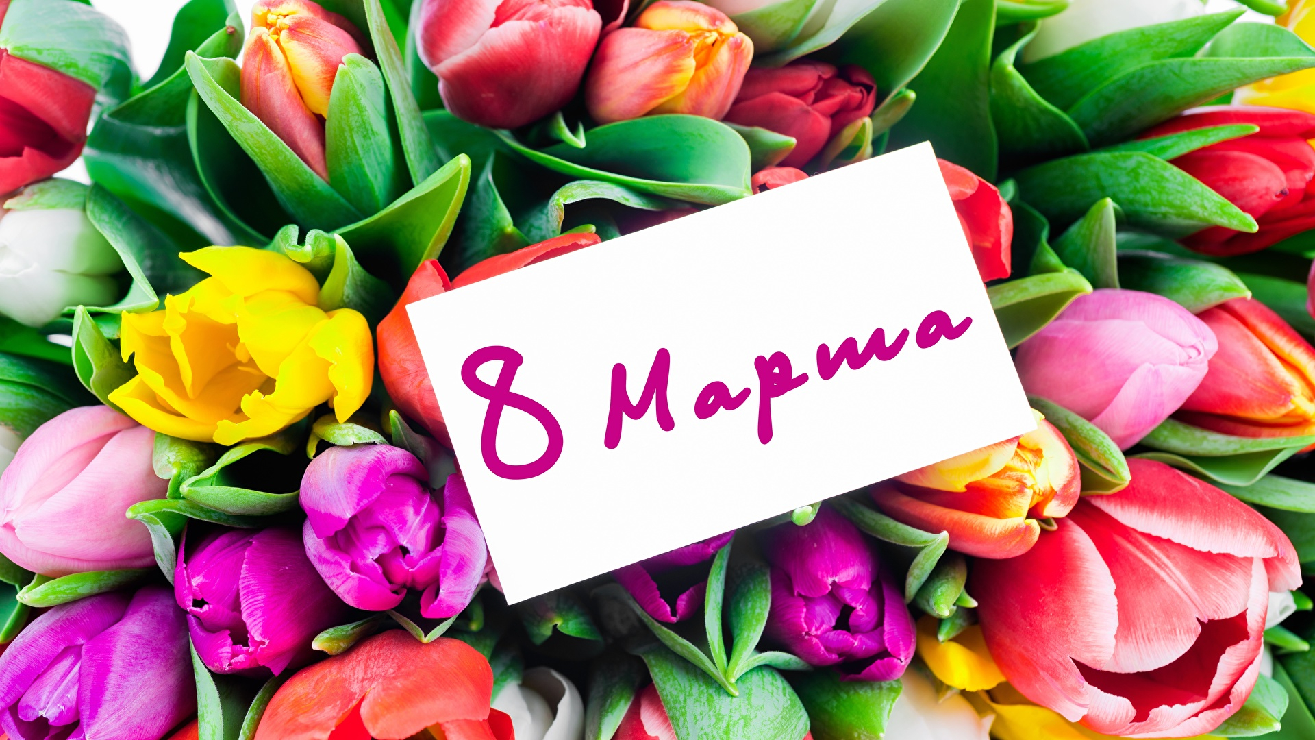 Пожелания на 8 марта коллегам женщинам (28 фото) 🔥 Прикольные картинки