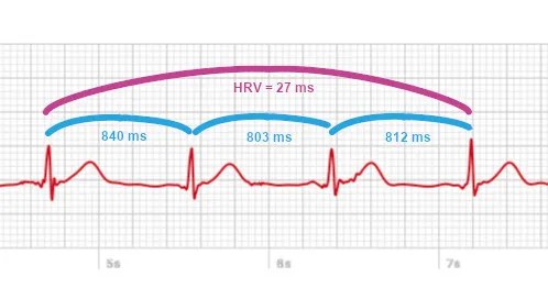 Track Heart Rate Variability (HRV) with your Samsung watch