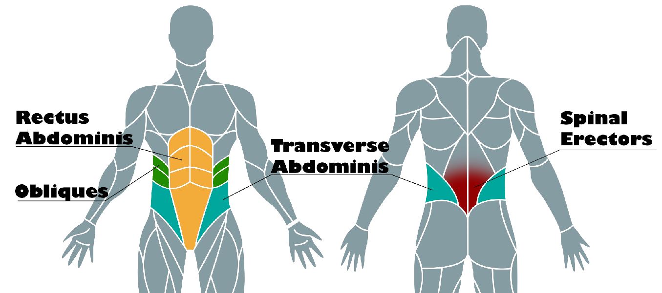 The Only 4 Core Exercises You Need With Resistance Bands BiqBandTraning