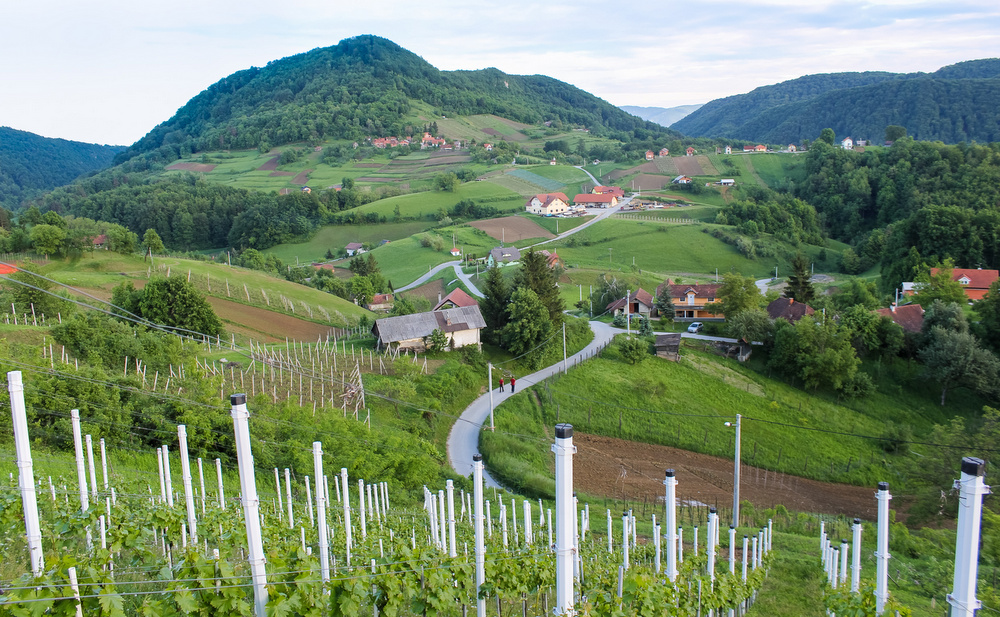 Vinogradi i brežuljci viničkog kraja