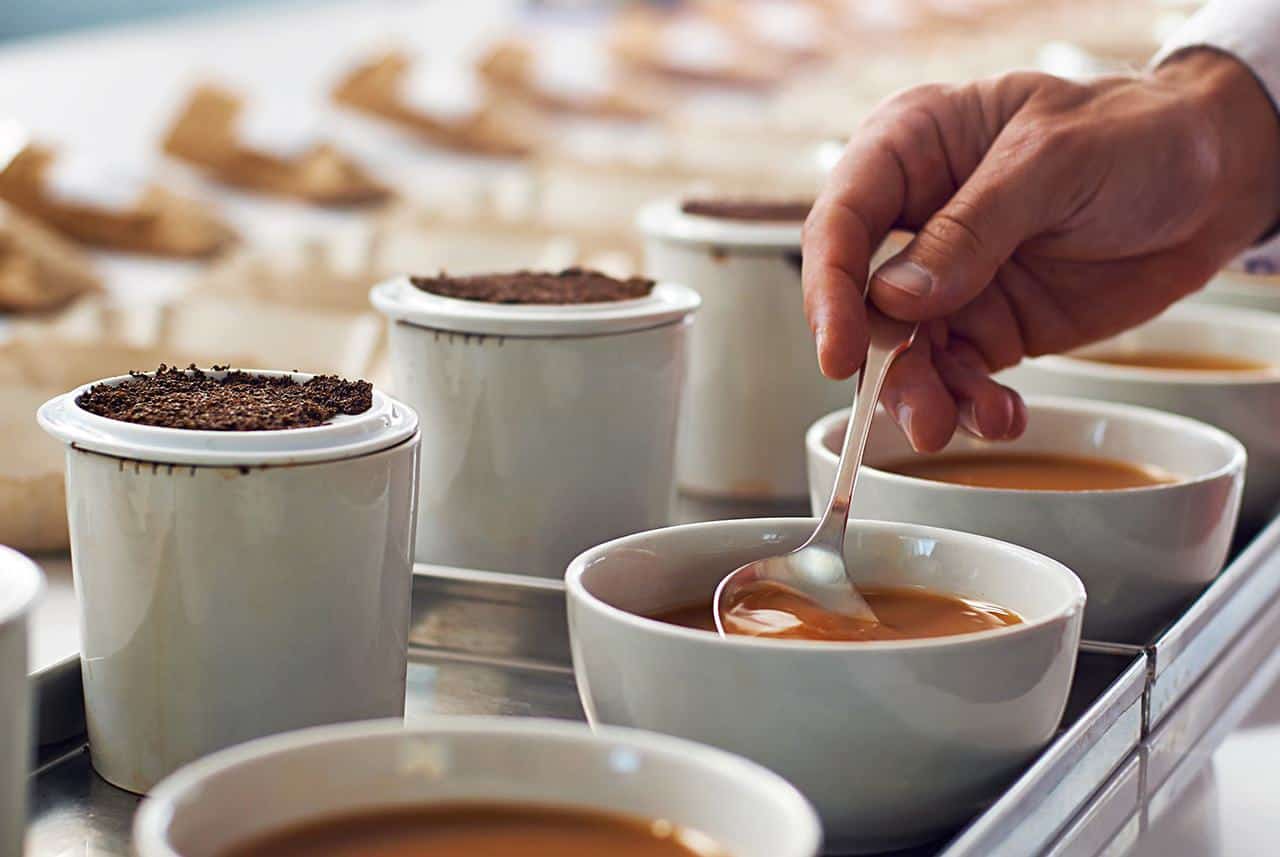 East African finest Tea Best High Grown Kenyan Tea Birchall Tea