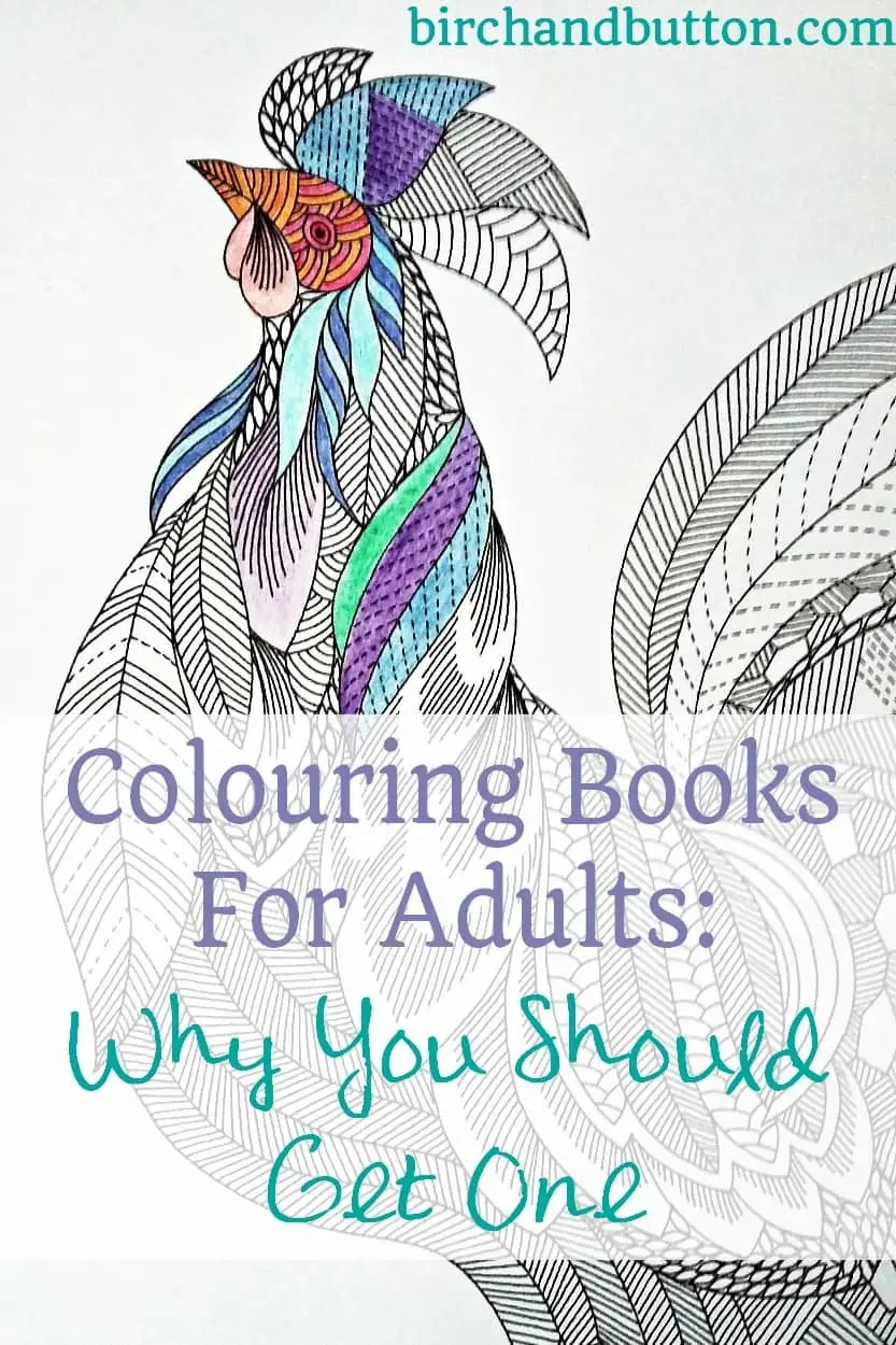 Colouring Books For Adults Why You Should Get One Birch And Button