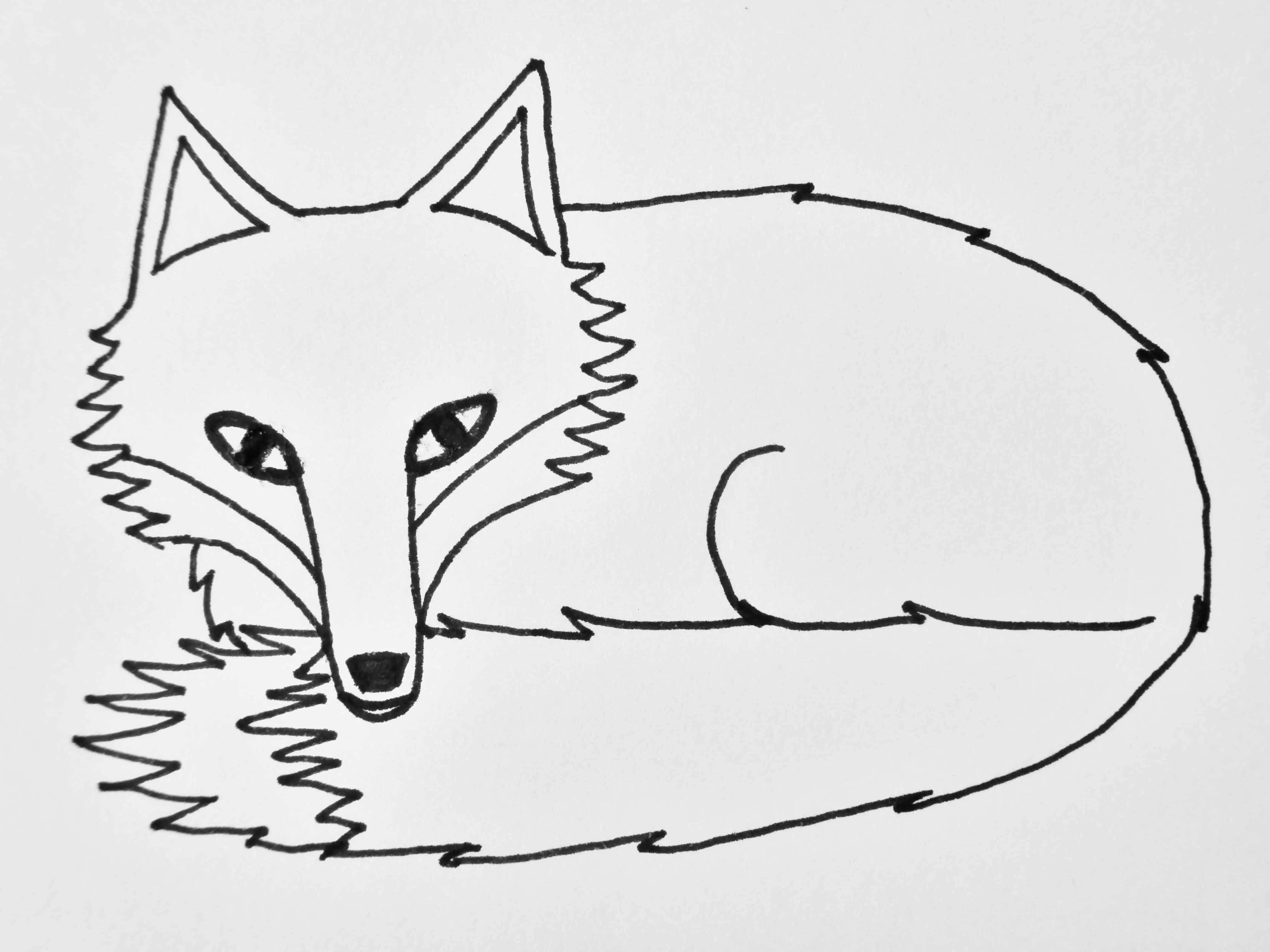 See tweets about #트레이스 on twitter. How To Draw A Sleepy Fox - Birch And Button