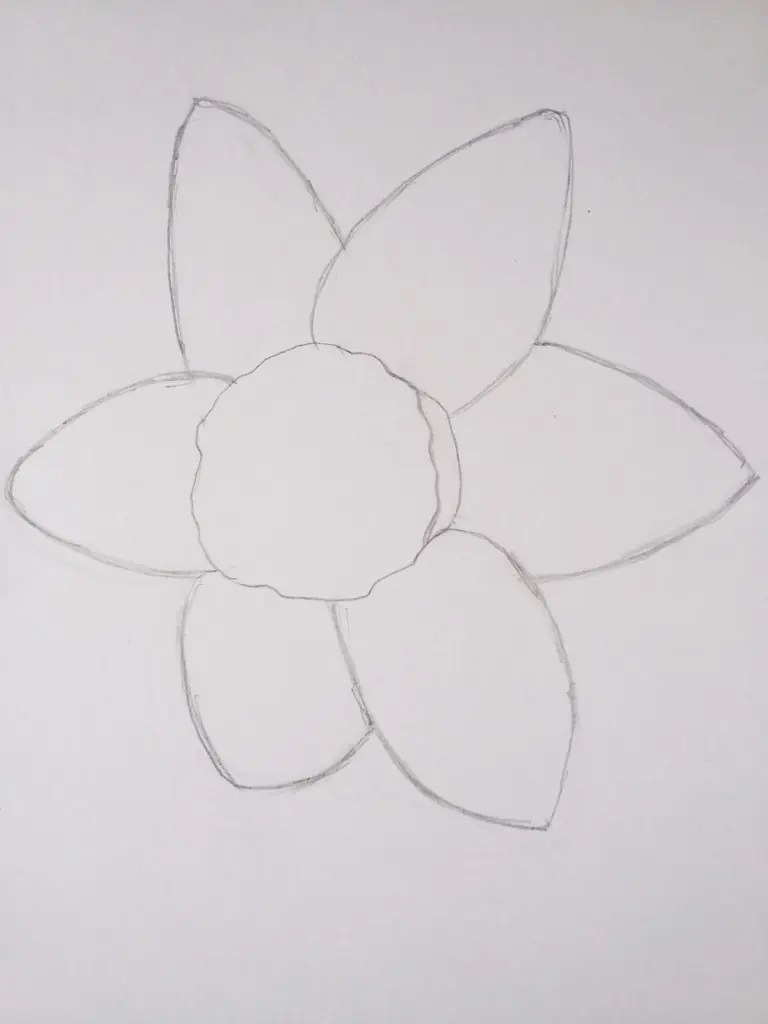 How To Draw A Daffodil Birch And Button