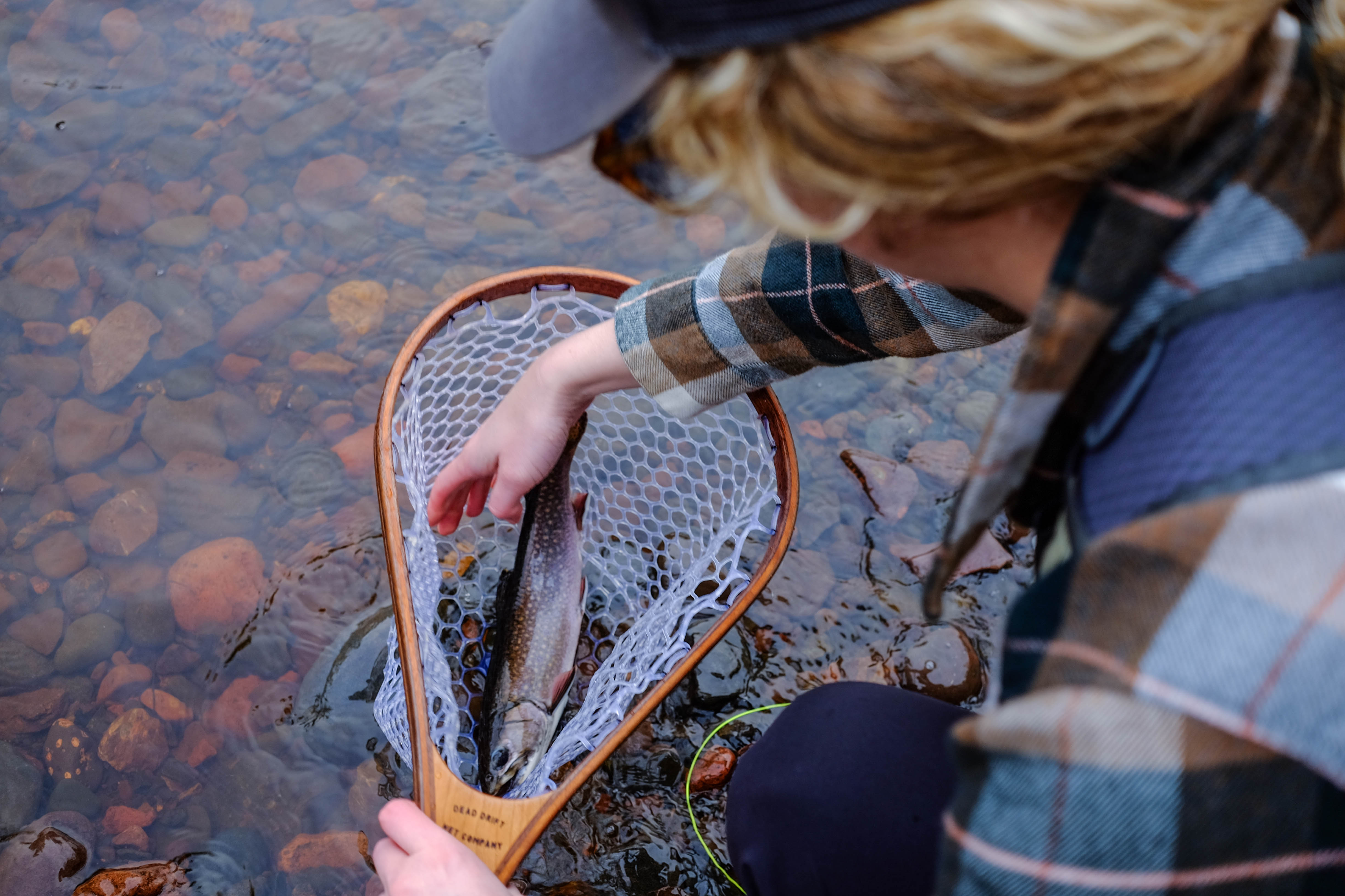 Fly Fishing In Minnesota Birch & Flannel