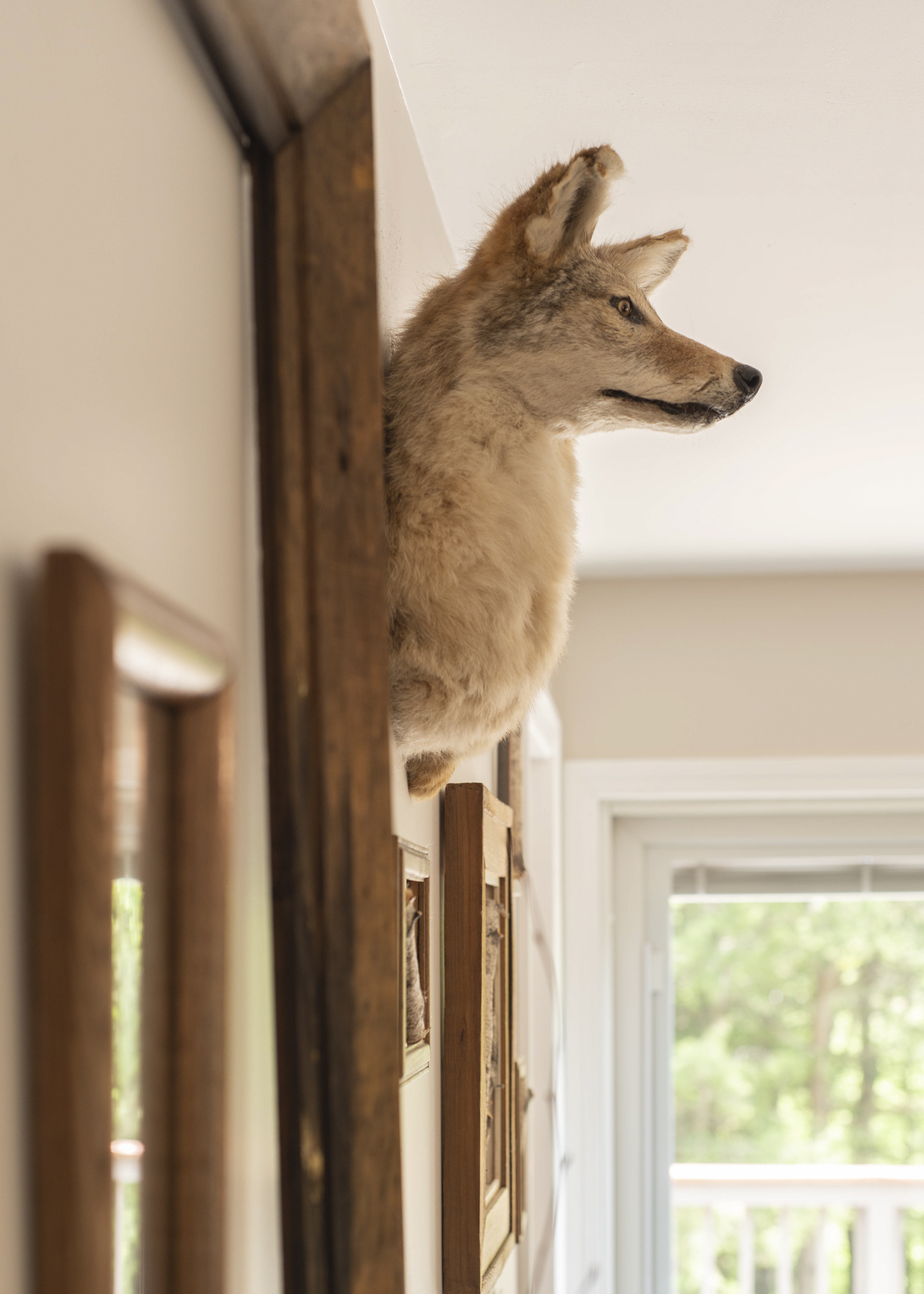 THE BIRCH BARN GLEN NH The Birch Barn, Glen NH, Airbnb GetAWay