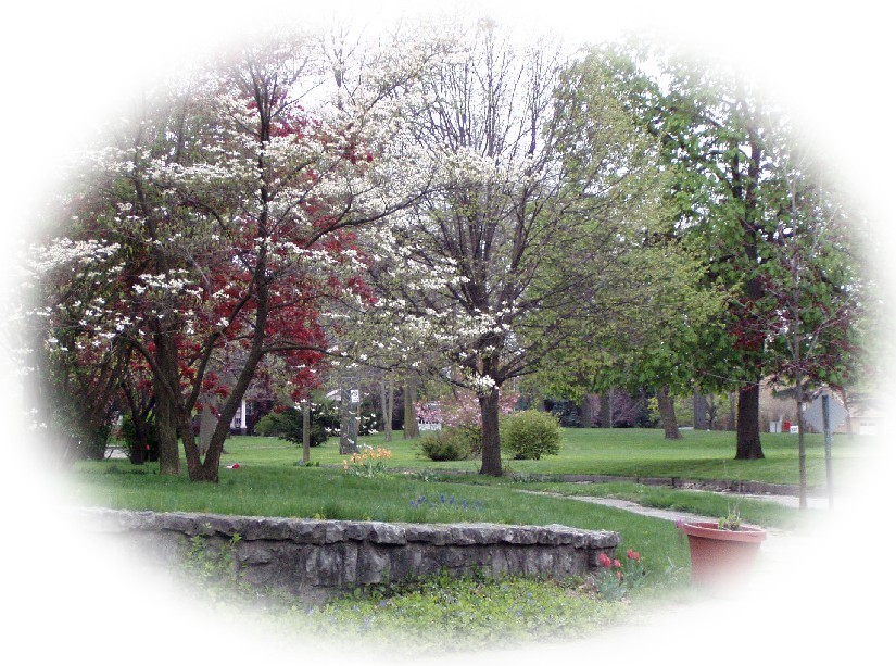 Birckhead Place a beautiful oasis in Toledo
