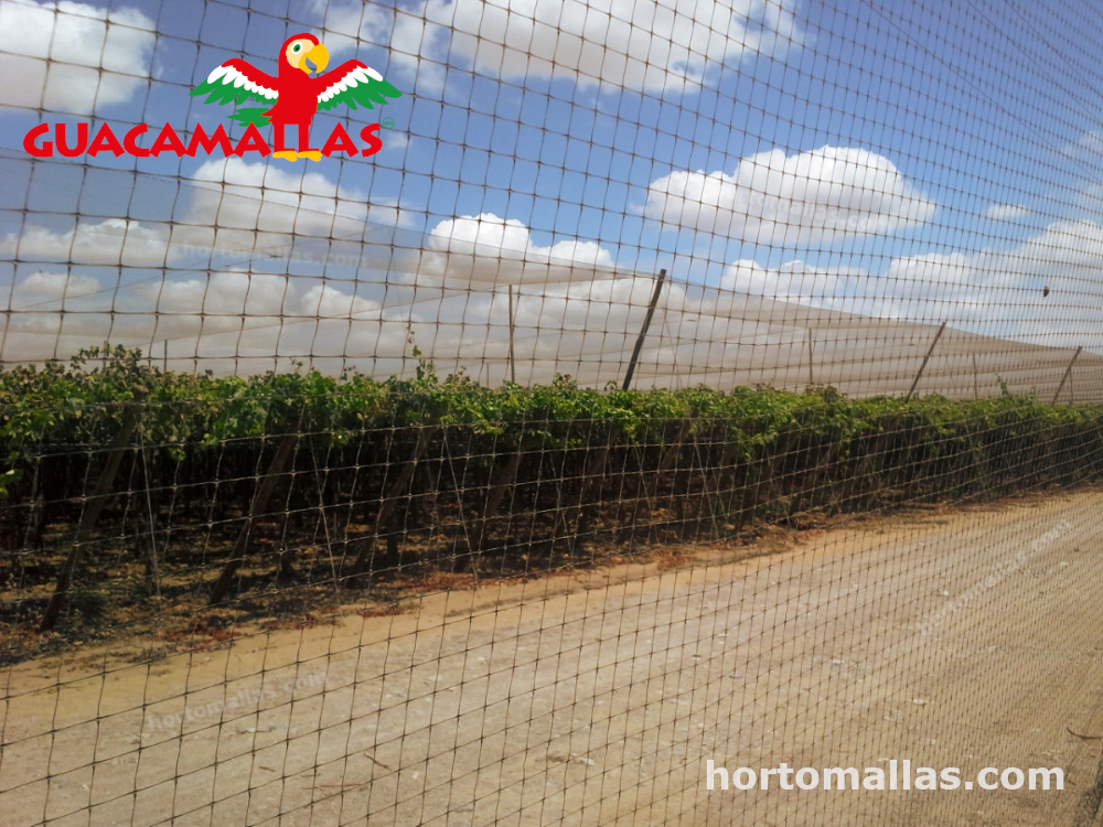 Bird nettíng the best form of bird pest control Bird Netting