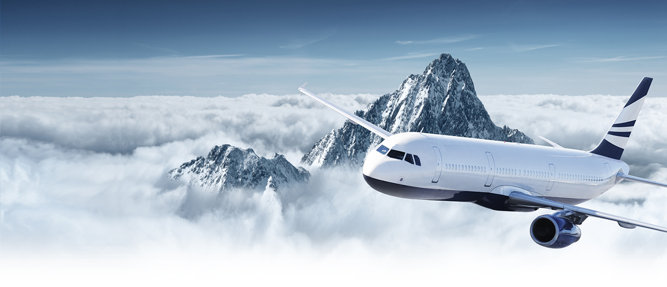 Home Bird ExecuJet Airport Services