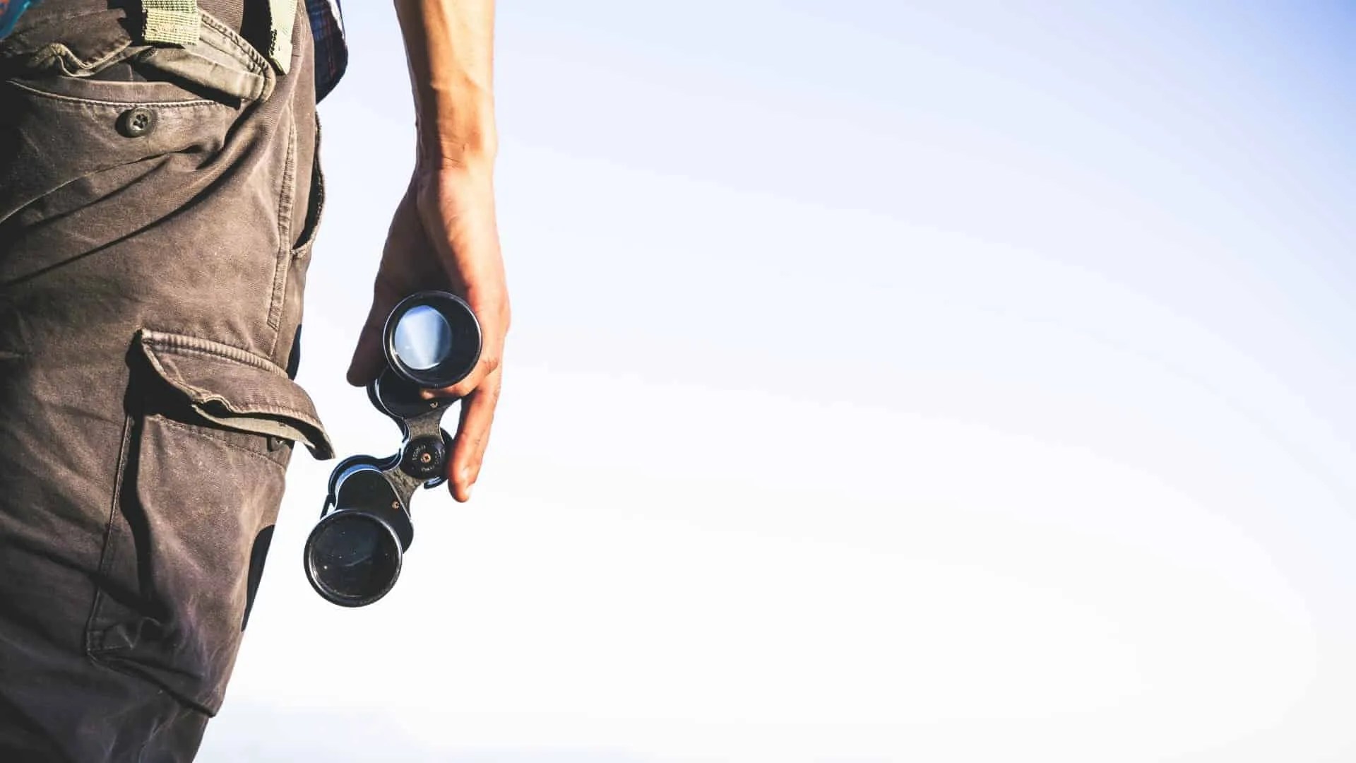 8x Or 10x Binoculars For Birding Or Birdwatching Birda