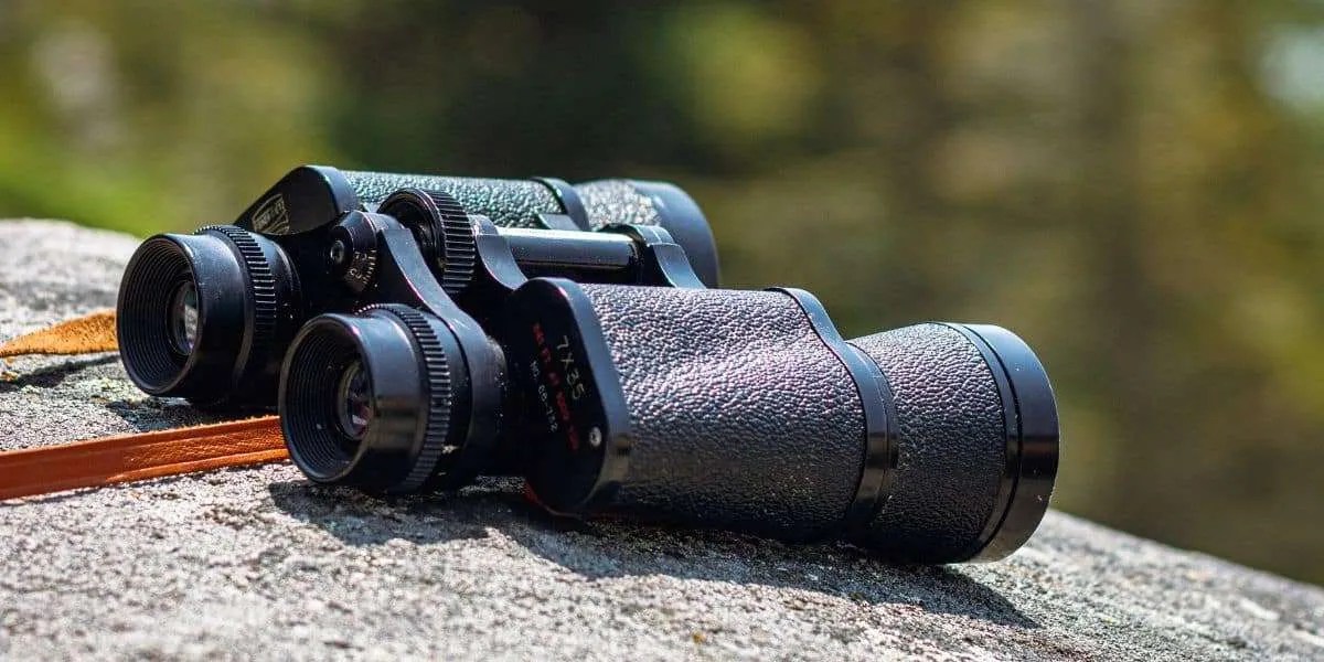 A Guide To Birdwatching Holidays & Vacations Birda