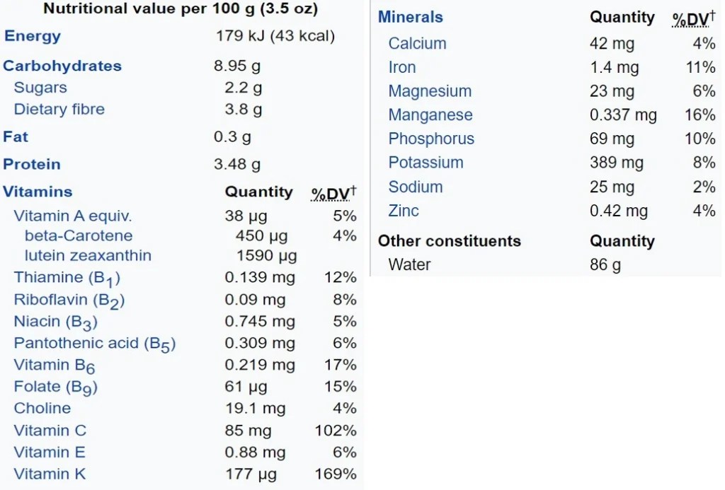 Can Birds Eat Brussel Sprouts? Birdaddicts
