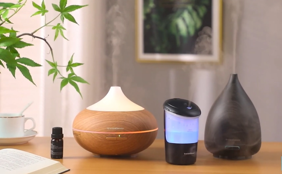 Is eucalyptus oil poisonous to birds? Birdaddicts