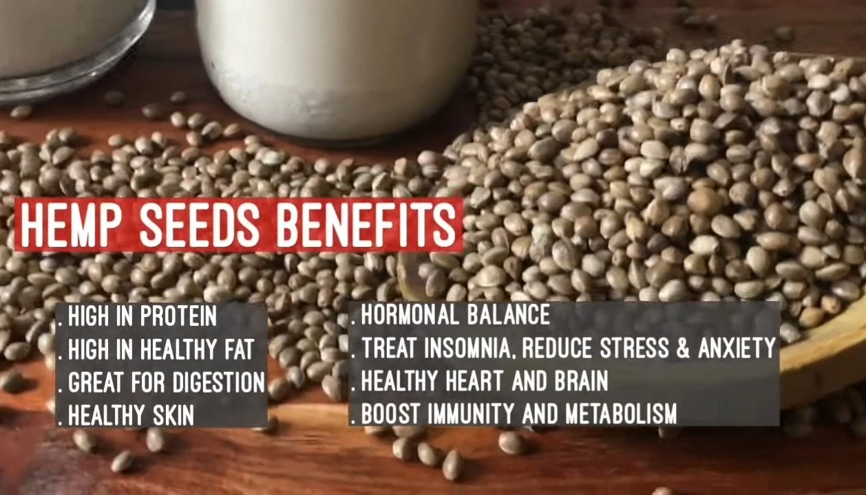 The Benefits of Hemp Seed for Birds A Nutritious Addition to Their