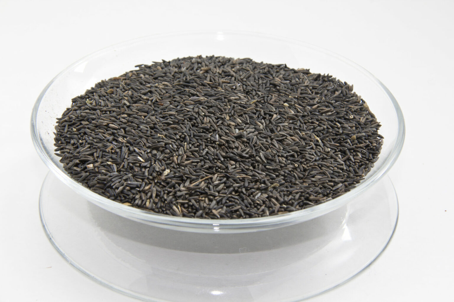 What Seeds Do Birds Eat? (15 Best Seeds Listed) (2023)