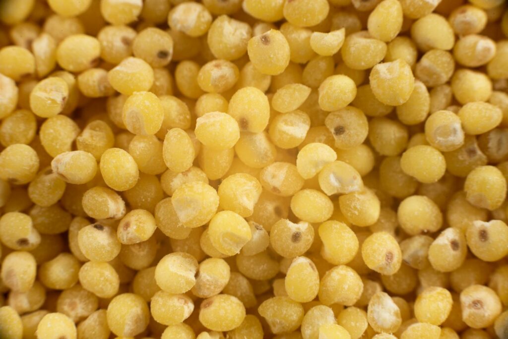 What Seeds Do Birds Eat? (15 Best Seeds Listed) (2023)