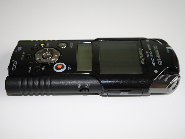 The Value Of Bird Sound Recordings Bird Alliance