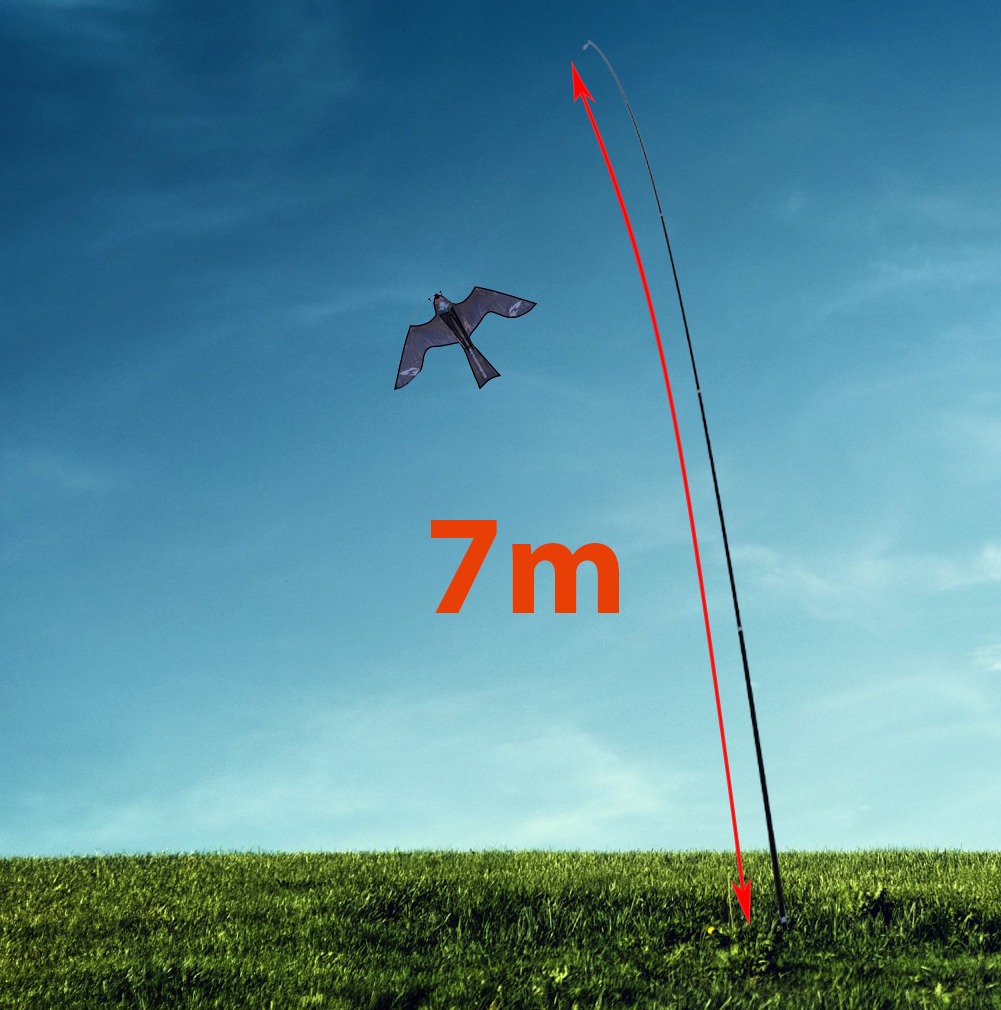 Eagle Kite to Scare Birds with 7 Meter Pole BIRD BUSTERS