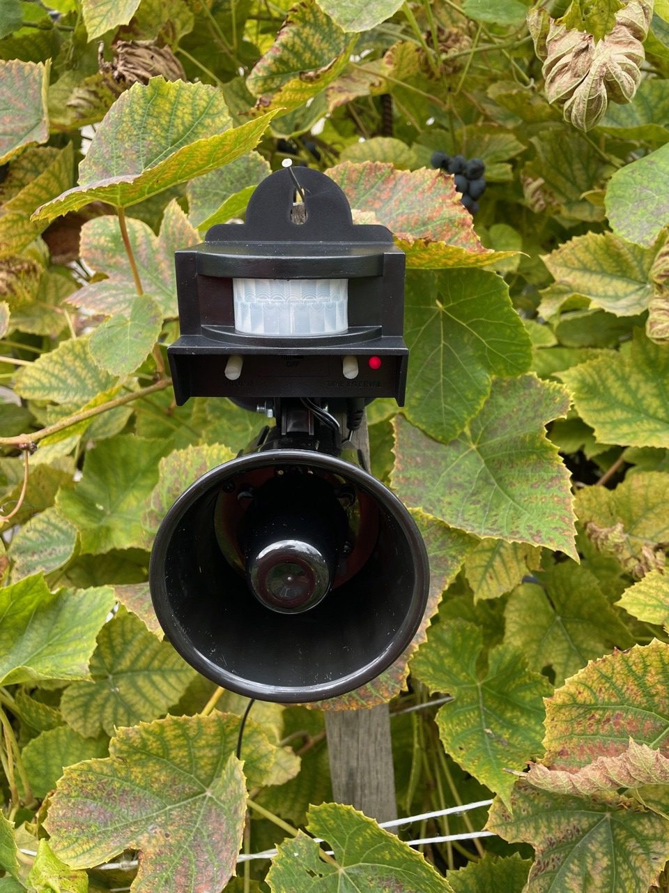 Audio Bird repellent with Motion Sensor BIRD BUSTERS