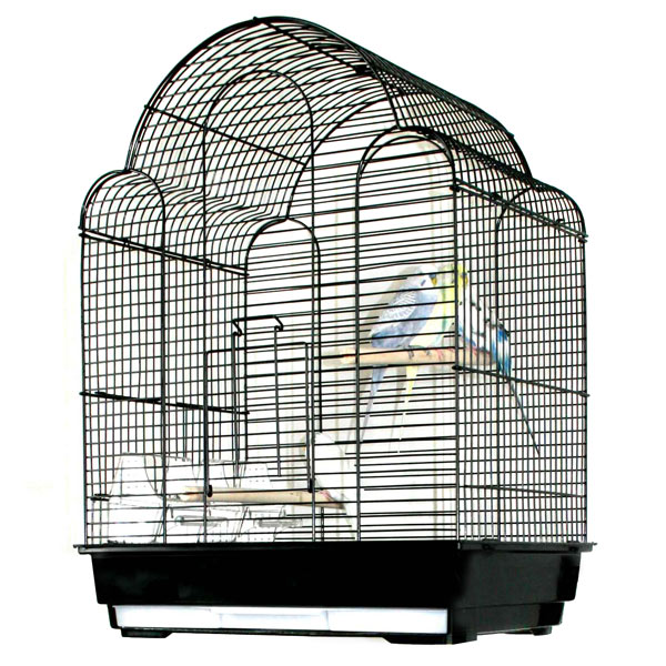 Ewa Escape Small Bird Cage Conure Bird Cages and Cockatiel Bird Cages