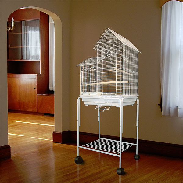 Specials on Bird Cages, Large Bird Cages, Parrot Cages, and Stainless