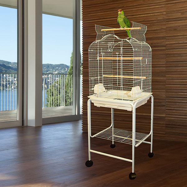 Specials on Bird Cages, Large Bird Cages, Parrot Cages, and Stainless