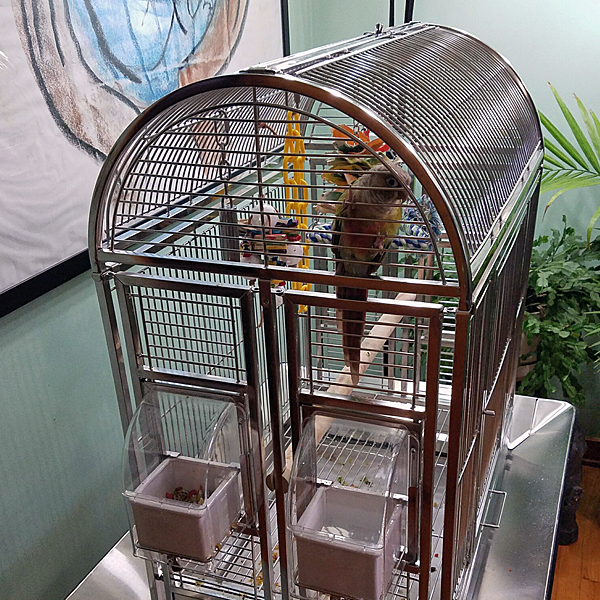 Java Hut Haven Stainless Steel Bird Cage, Stainless Steel Bird Cages