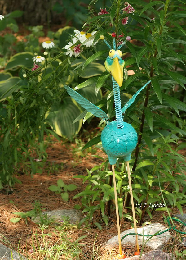 funkybird Bird Canada