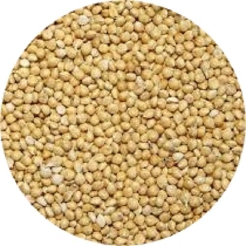Shafer Seed 84075 White Proso Millet Wild Bird Food, 50Pound