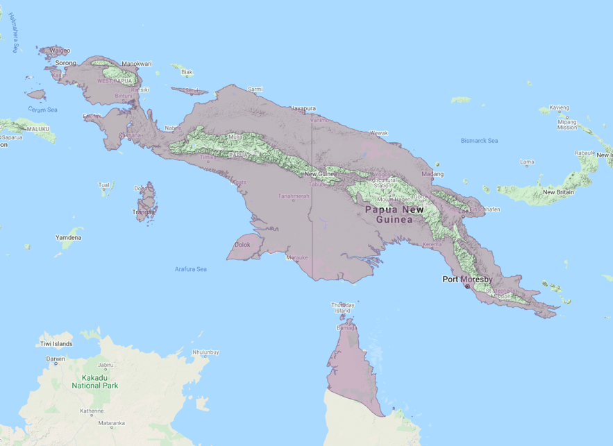 Palm Cockatoo birdfinding.info