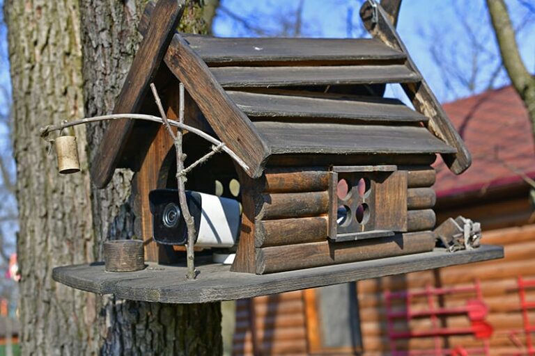How To Attach a Camera to a Bird Feeder (7 Steps)