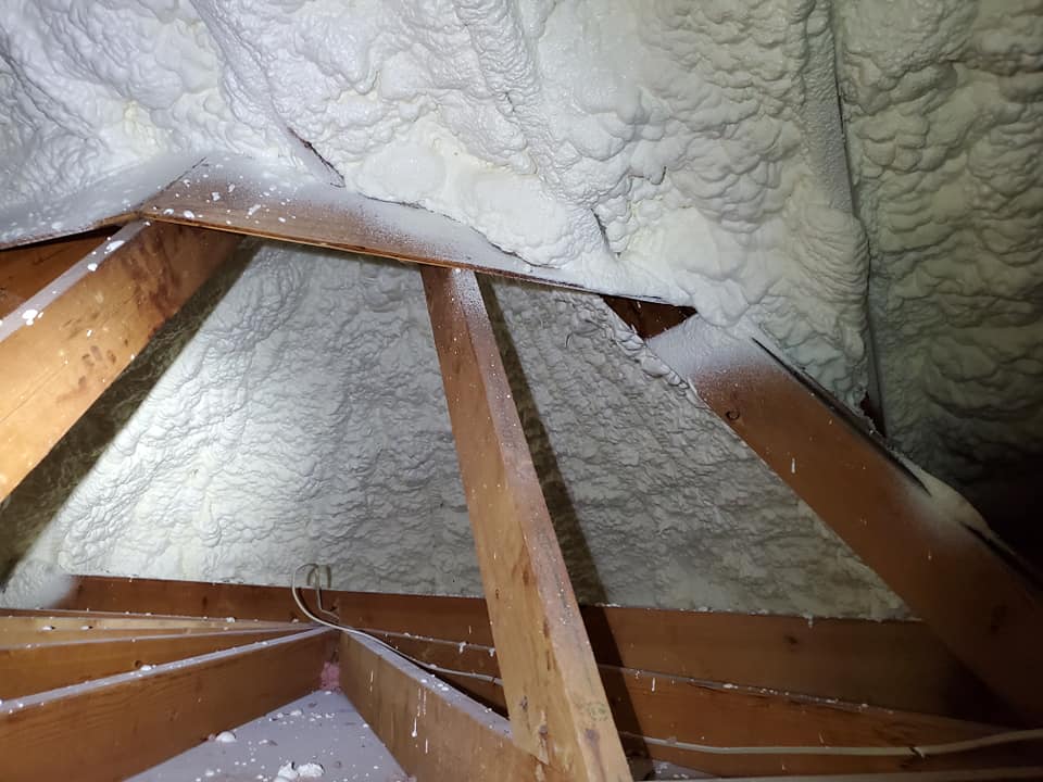 Why We Stopped Spraying Attics With Foam Insulation Bird Family