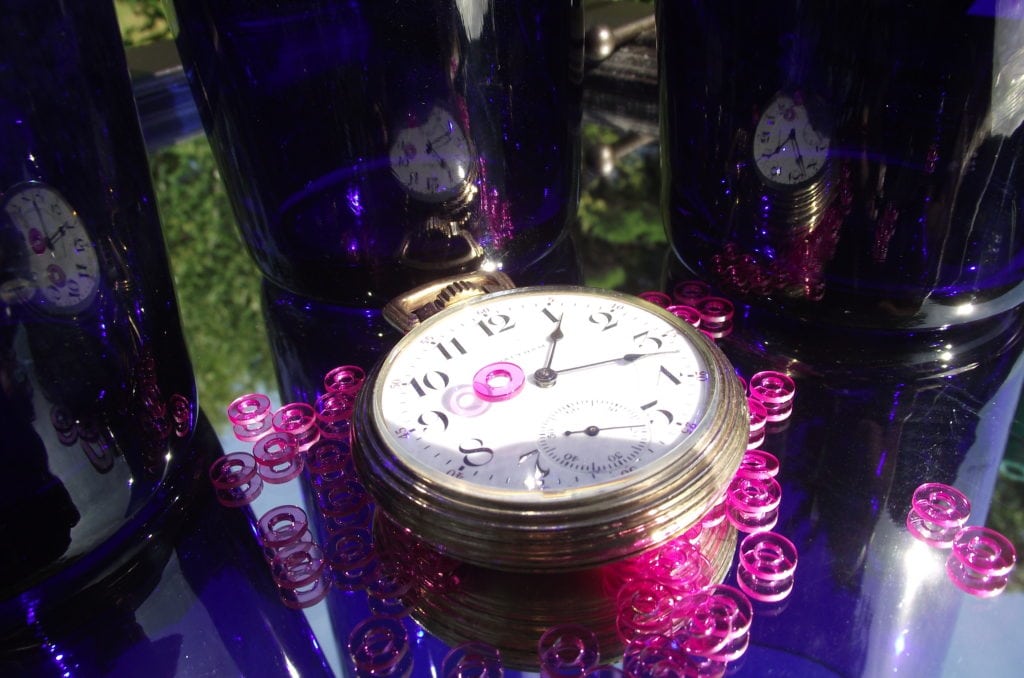 Image Gallery Bird Precision