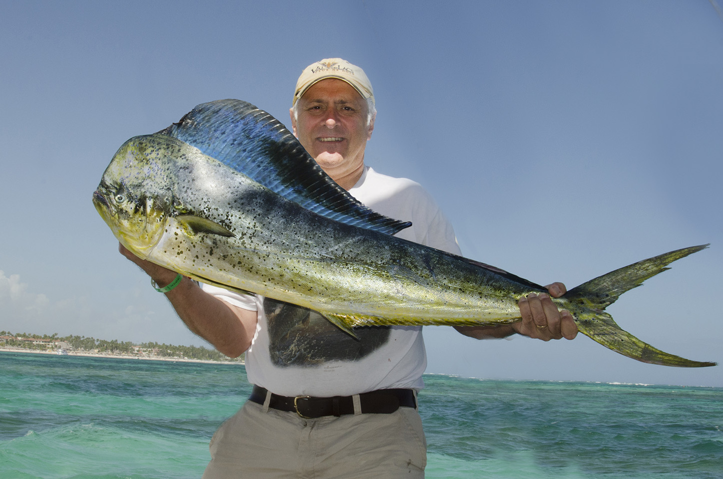 Mahimahi or Common Dolphinfish BIRDQUEST2004