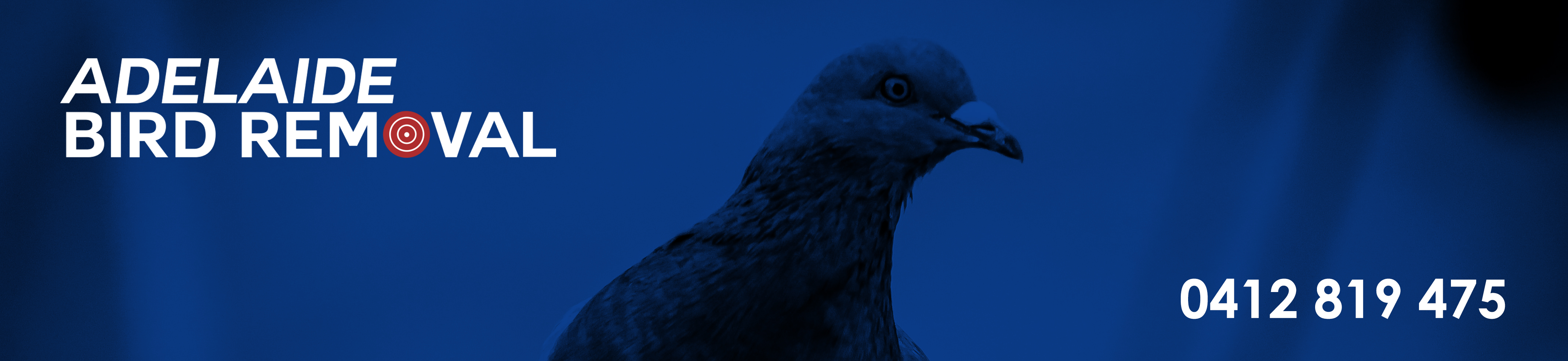 Adelaide bird removal Adelaide bird removalist