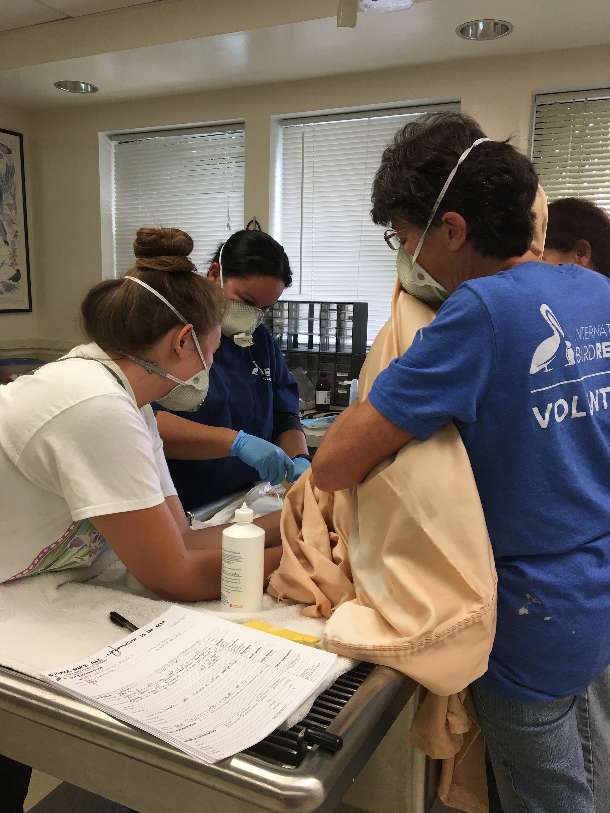 Atlas Fire Hits Close to Home for Bird Rescue's SF BayDelta Wildlife